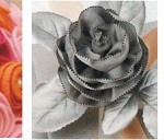 St Juan Roses